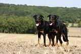 BEAUCERON 746